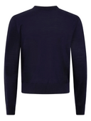 Pullover Herren
