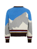 Pullover Herren
